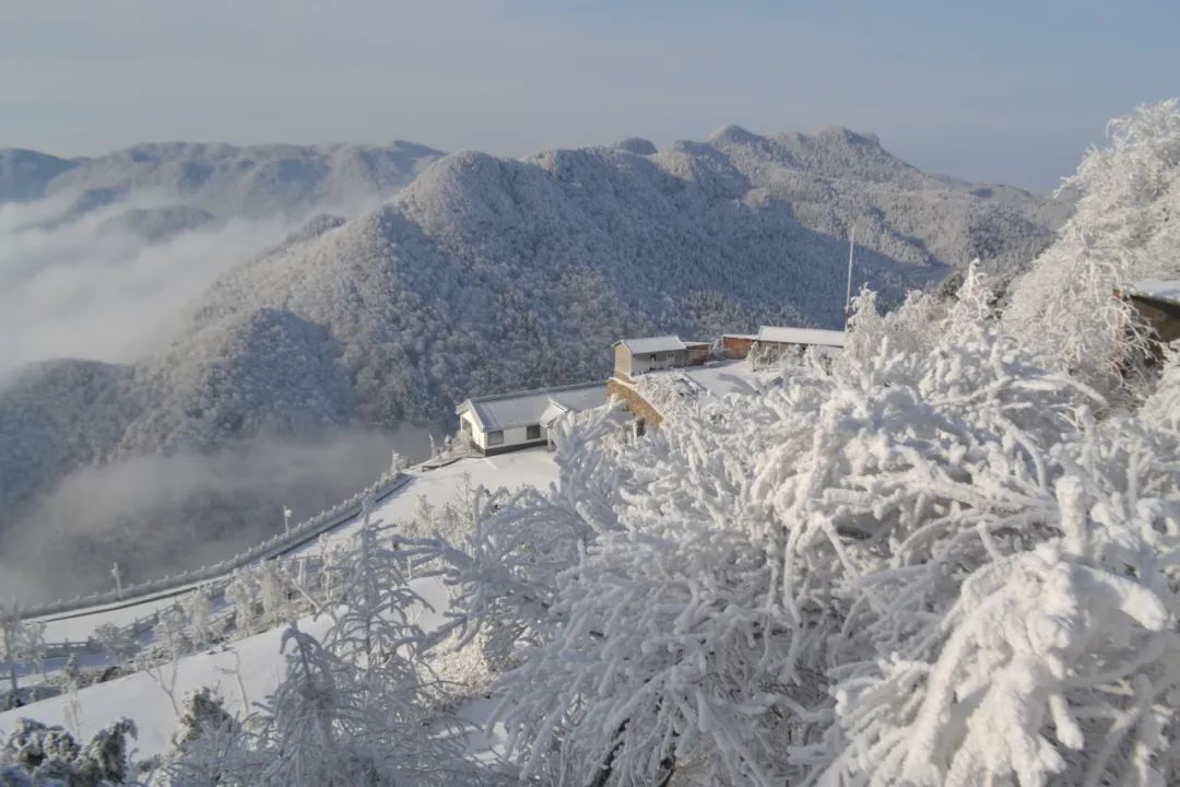 1b813446dd080c69cca133adc10d42f2_50.jpg 1b813446dd080c69cca133adc10d42f2_50.jpg